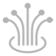 Fibra Ottica